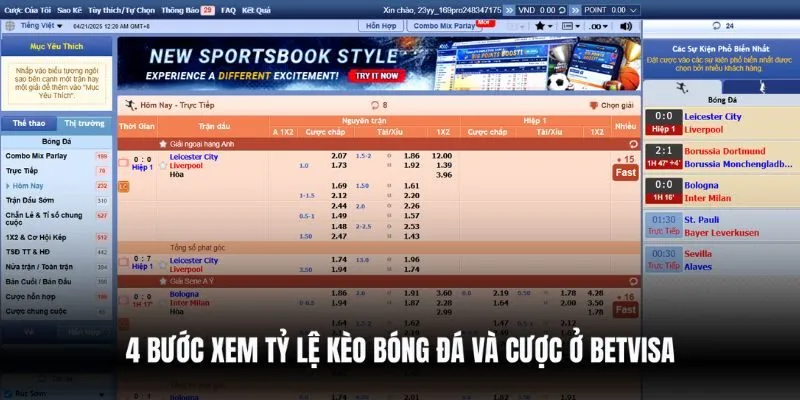 4 Bước xem tỷ lệ kèo bóng đá và cược ở Betvisa