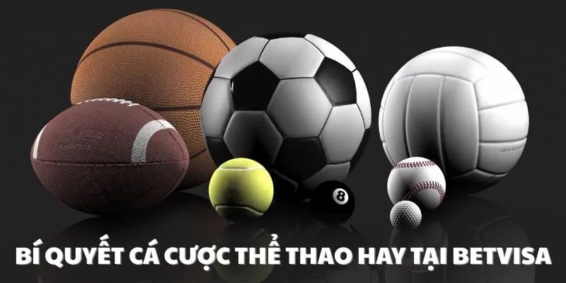 Chia sẻ bí quyết đặt cược thể thao siêu hay cho bet thủ