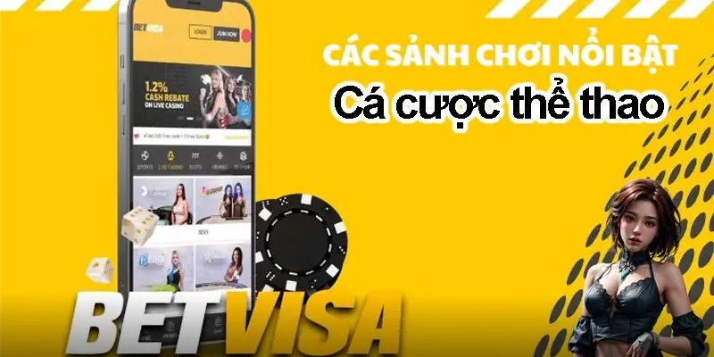 Một số sảnh chơi thể thao nổi bật tại nhà cái