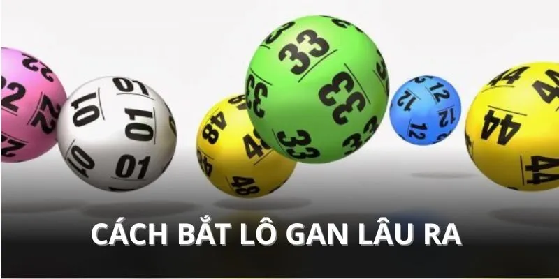 Chia sẻ cách bắt lô gan lâu ra cực hay
