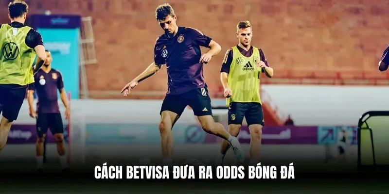 Cách Betvisa đưa ra odds bóng đá