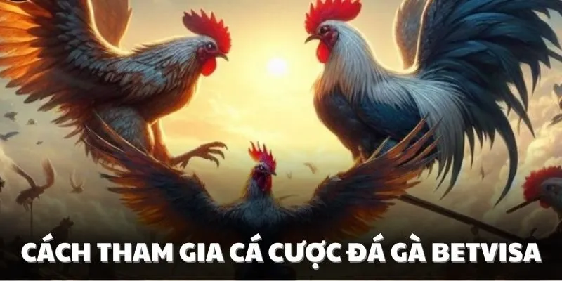 Hướng dẫn cách tham gia cá cược đá gà tại Betvisa
