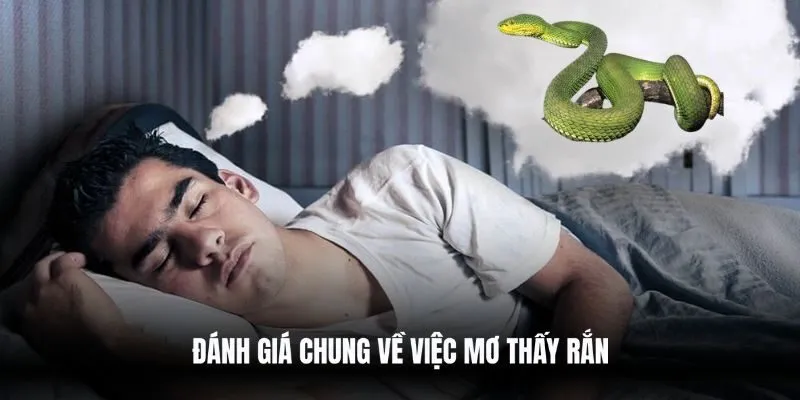 Đánh giá chung về việc mơ thấy rắn