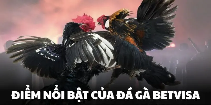Những điểm tạo nên lợi thế của sảnh cược đá gà nhà cái