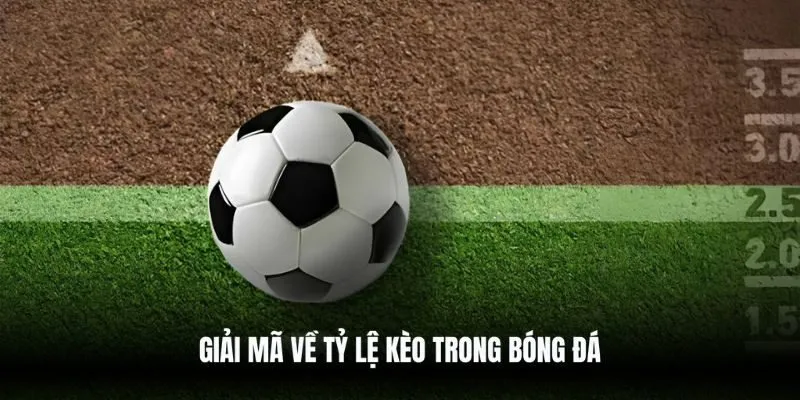 Giải mã về tỷ lệ kèo trong bóng đá