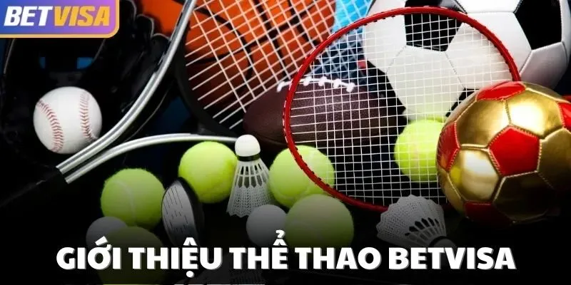 Thông tin tổng quát về thể thao Betvisa