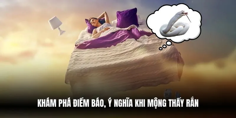 Khám phá điềm báo, ý nghĩa khi mộng thấy rắn
