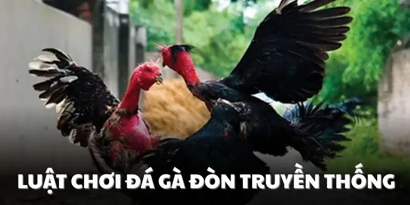Luật chơi cơ bản của đá gà đòn truyền thống