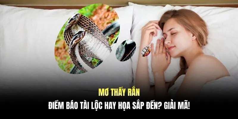 Mơ thấy rắn