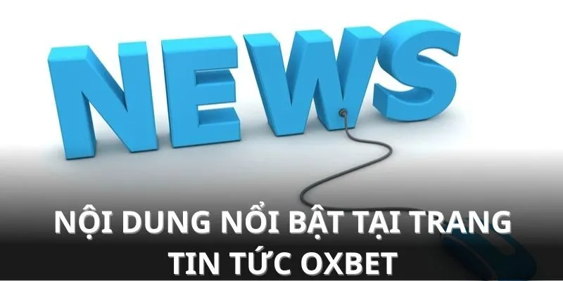 Những nội dung có thể tìm kiếm tại trang