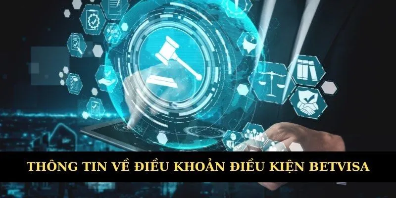 Thông tin chung về điều khoản điều kiện Betvisa